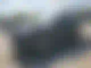 Vehicle Image- 2025 Toyota RAV4
