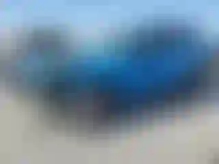 Vehicle Image- 2021 Toyota RAV4