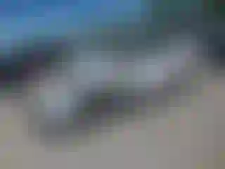 Vehicle Image- 2020 Toyota RAV4