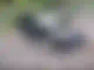 Vehicle Image- 2021 Toyota RAV4