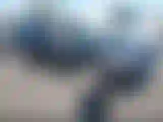 Vehicle Image- 2021 Toyota RAV4
