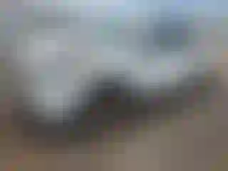 Vehicle Image- 2021 Toyota RAV4