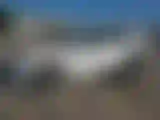 Vehicle Image- 2022 Toyota RAV4