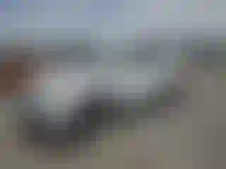Vehicle Image- 2021 Toyota RAV4