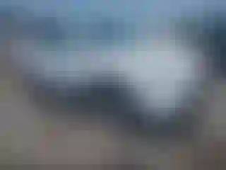 Vehicle Image- 2021 Toyota RAV4