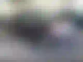 Vehicle Image- 2016 Toyota RAV4