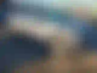 Vehicle Image- 2017 Toyota RAV4