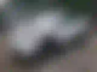 Vehicle Image- 2018 Toyota RAV4