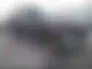 Vehicle Image- 2016 Toyota RAV4