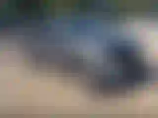 Vehicle Image- 2015 Toyota RAV4