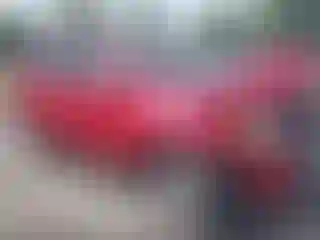 Vehicle Image- 2010 Toyota RAV4