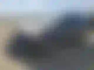 Vehicle Image- 2017 Toyota RAV4