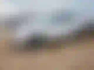 Vehicle Image- 2015 Toyota RAV4