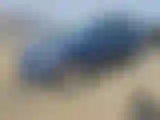 Vehicle Image- 2014 Toyota RAV4