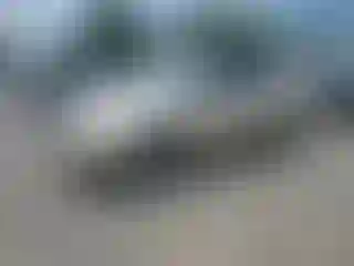 Vehicle Image- 2010 Toyota RAV4