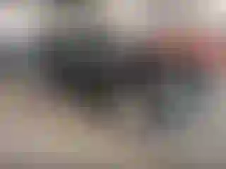 Vehicle Image- 2011 Toyota RAV4