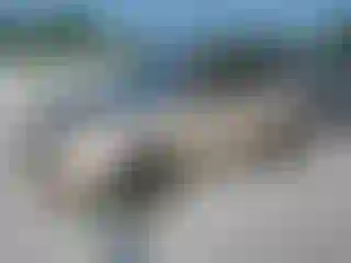 Vehicle Image- 2010 Toyota RAV4