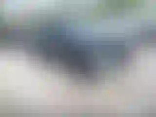 Vehicle Image- 2018 Toyota RAV4