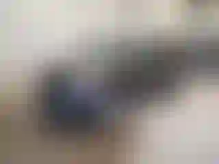 Vehicle Image- 2015 Toyota RAV4