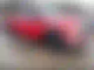 Vehicle Image- 2002 Dodge RAM 1500