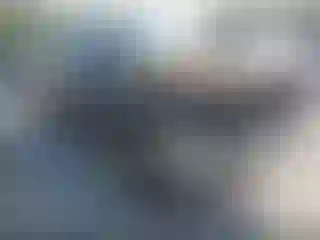Vehicle Image- 1996 Dodge RAM 1500