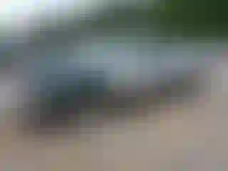 Vehicle Image- 2001 Dodge RAM 1500