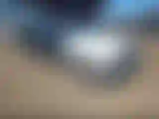 Vehicle Image- 1997 Dodge RAM 1500
