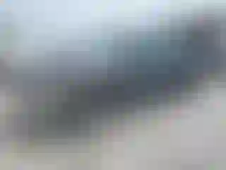 Vehicle Image- 2001 Dodge RAM 1500