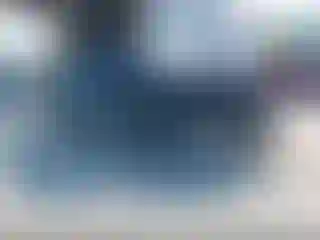 Vehicle Image- 1995 Dodge RAM 1500