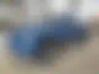 Vehicle Image- 2001 Dodge RAM 1500