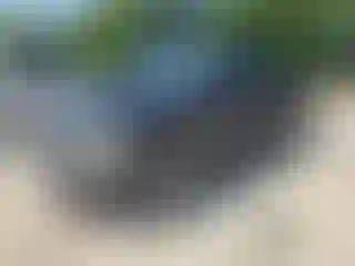 Vehicle Image- 2001 Dodge RAM 1500