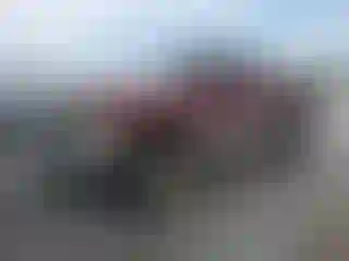 Vehicle Image- 2001 Dodge RAM 1500
