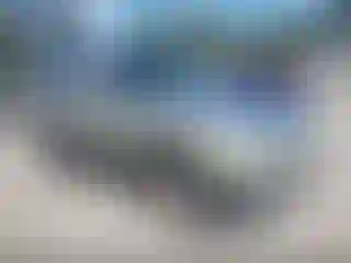 Vehicle Image- 1994 Dodge RAM 1500