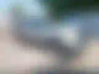 Vehicle Image- 2002 Dodge RAM 1500