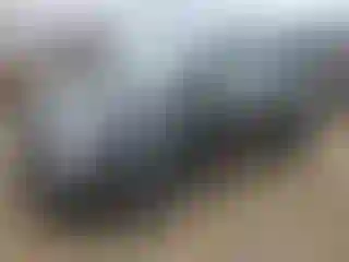 Vehicle Image- 2014 Fiat 500