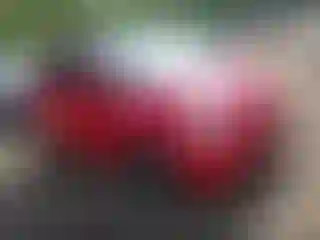 Vehicle Image- 2013 Fiat 500