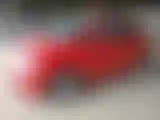 Vehicle Image- 2013 Fiat 500