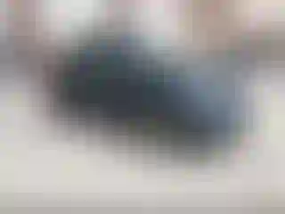 Vehicle Image- 2013 Fiat 500