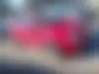 Vehicle Image- 2015 Fiat 500