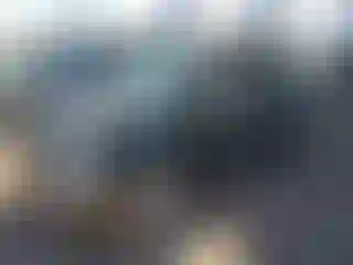 Vehicle Image- 2015 Fiat 500