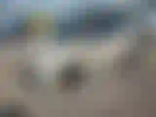 Vehicle Image- 2012 Fiat 500