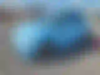 Vehicle Image- 2016 Fiat 500