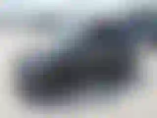 Vehicle Image- 2014 Fiat 500
