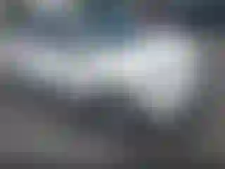 Vehicle Image- 2017 Fiat 500