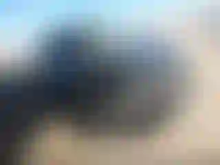 Vehicle Image- 2017 Fiat 500