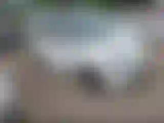 Vehicle Image- 2017 Fiat 500