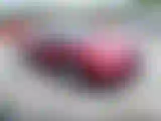 Vehicle Image- 1997 Chrysler Sebring
