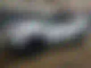 Vehicle Image- 2023 Jeep Compass