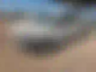 Vehicle Image- 2019 Dodge Journey