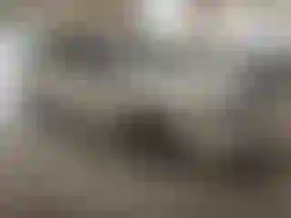 Vehicle Image- 2014 Dodge Journey